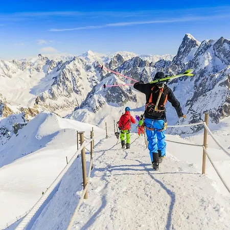 Grands Montets 602 샤모니